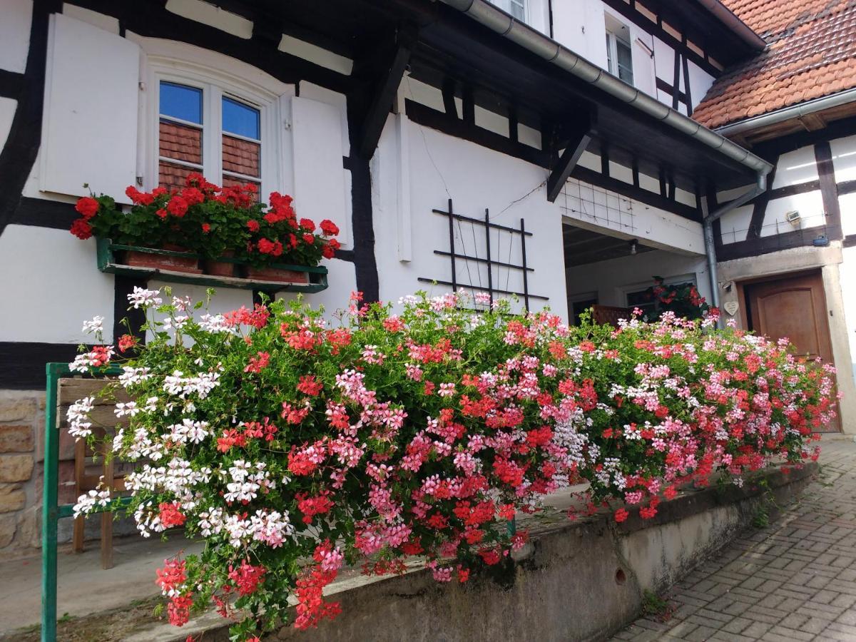 Gite Rue De L'Ange Hunspach Exterior photo