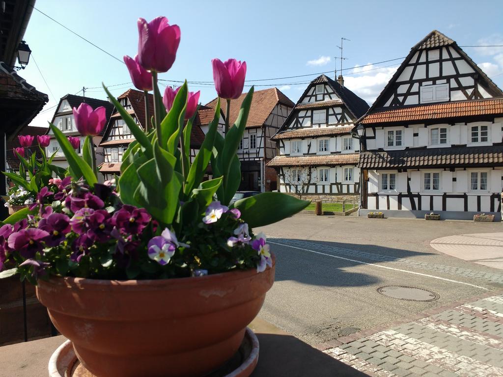 Gite Rue De L'Ange Hunspach Exterior photo